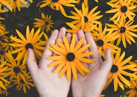 pexels-photo-1697912-1697912 Close-up of hands holding vibrant yellow daisies, showcasing natural beauty and floral pattern.